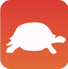 A turtle outline in a square