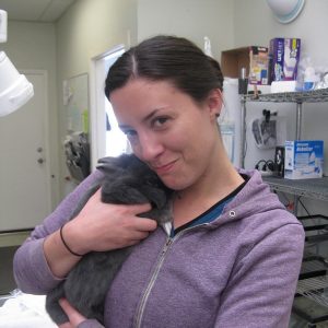 A vet tech in a purple sweater snuggling a grey bunny